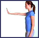 Thoracic Front Lateral Tip