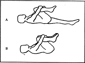 Willaims Stretch